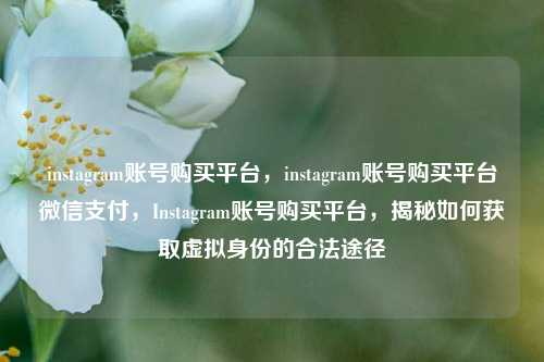 instagram账号购买平台，instagram账号购买平台微信支付，Instagram账号购买平台	，揭秘如何获取虚拟身份的合法途径  第1张