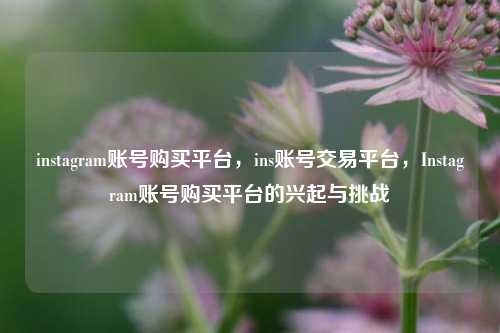 instagram账号购买平台，ins账号交易平台，Instagram账号购买平台的兴起与挑战