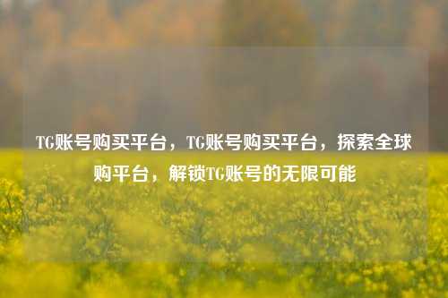 TG账号购买平台，TG账号购买平台，探索全球购平台，解锁TG账号的无限可能