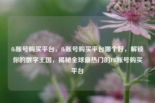 fb账号购买平台，fb账号购买平台哪个好，解锁你的数字王国，揭秘全球最热门的FB账号购买平台