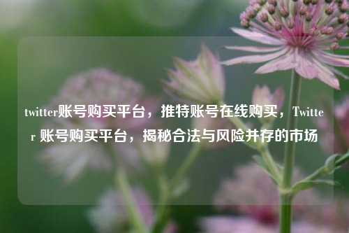 twitter账号购买平台，推特账号在线购买，Twitter 账号购买平台，揭秘合法与风险并存的市场