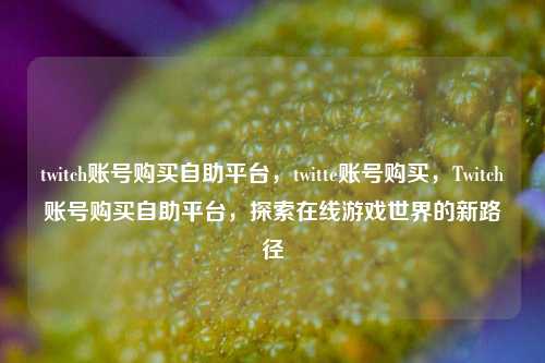 twitch账号购买自助平台，twitte账号购买，Twitch账号购买自助平台，探索在线游戏世界的新路径