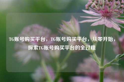 TG账号购买平台，TG账号购买平台，从零开始，探索TG账号购买平台的全过程