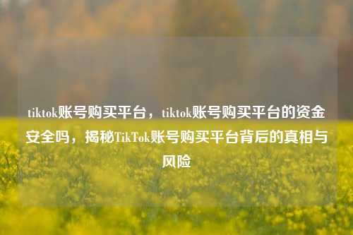 tiktok账号购买平台，tiktok账号购买平台的资金安全吗，揭秘TikTok账号购买平台背后的真相与风险
