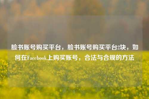 脸书账号购买平台，脸书账号购买平台2块，如何在Facebook上购买账号，合法与合规的方法