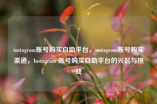 instagram账号购买自助平台，instagram账号购买渠道，Instagram 账号购买自助平台的兴起与挑战
