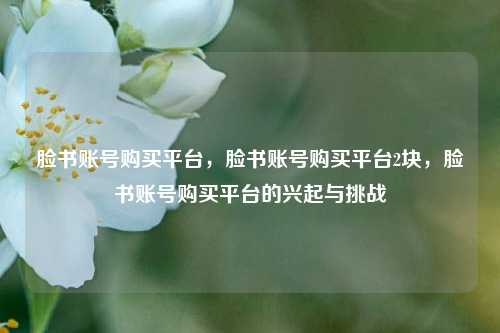 脸书账号购买平台，脸书账号购买平台2块，脸书账号购买平台的兴起与挑战