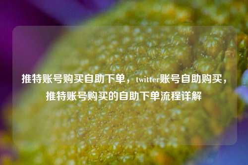 推特账号购买自助下单，twitter账号自助购买，推特账号购买的自助下单流程详解