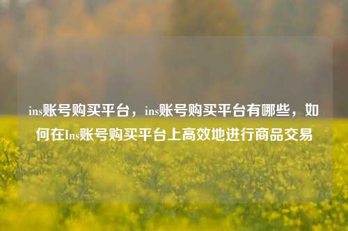 ins账号购买平台，ins账号购买平台有哪些，如何在Ins账号购买平台上高效地进行商品交易