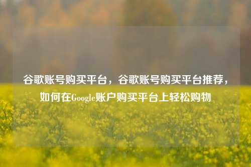 谷歌账号购买平台，谷歌账号购买平台推荐，如何在Google账户购买平台上轻松购物