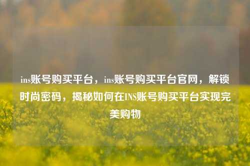 ins账号购买平台，ins账号购买平台官网，解锁时尚密码，揭秘如何在INS账号购买平台实现完美购物