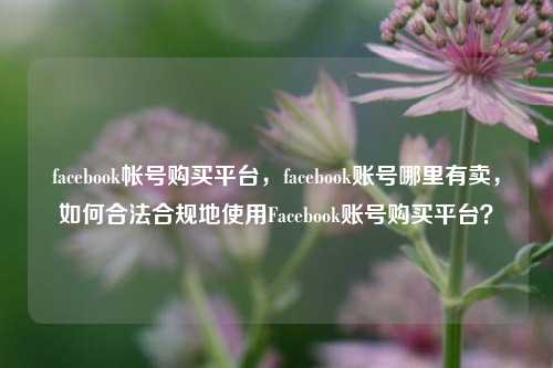 facebook帐号购买平台，facebook账号哪里有卖，如何合法合规地使用Facebook账号购买平台？