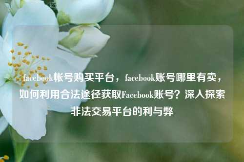 facebook帐号购买平台，facebook账号哪里有卖	，如何利用合法途径获取Facebook账号？深入探索非法交易平台的利与弊  第1张