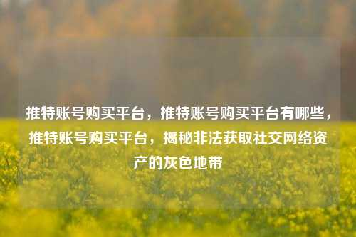 推特账号购买平台，推特账号购买平台有哪些，推特账号购买平台，揭秘非法获取社交网络资产的灰色地带