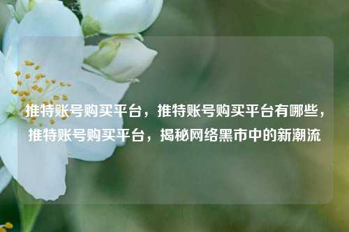 推特账号购买平台，推特账号购买平台有哪些，推特账号购买平台，揭秘网络黑市中的新潮流
