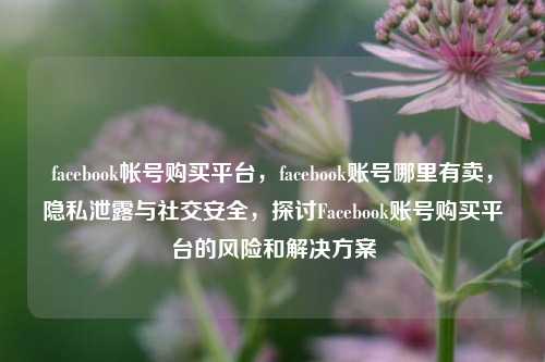 facebook帐号购买平台，facebook账号哪里有卖，隐私泄露与社交安全，探讨Facebook账号购买平台的风险和解决方案