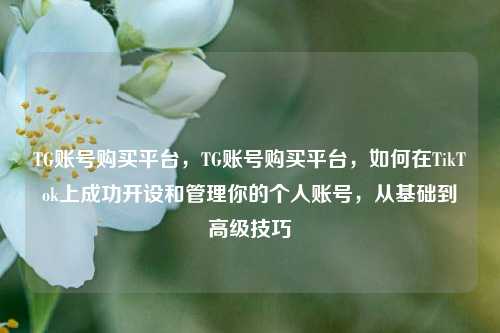 TG账号购买平台，TG账号购买平台，如何在TikTok上成功开设和管理你的个人账号，从基础到高级技巧