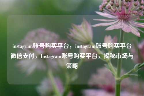 instagram账号购买平台，instagram账号购买平台微信支付，Instagram账号购买平台，揭秘市场与策略