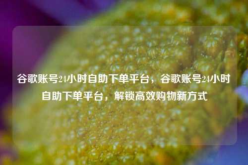 谷歌账号24小时自助下单平台，谷歌账号24小时自助下单平台，解锁高效购物新方式