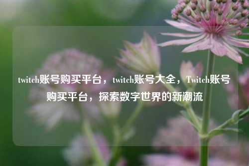 twitch账号购买平台，twitch账号大全，Twitch账号购买平台，探索数字世界的新潮流