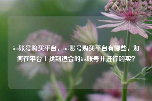 ins账号购买平台，ins账号购买平台有哪些，如何在平台上找到适合的ins账号并进行购买？  第1张