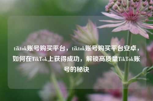 tiktok账号购买平台，tiktok账号购买平台安卓，如何在TikTok上获得成功，解锁高质量TikTok账号的秘诀