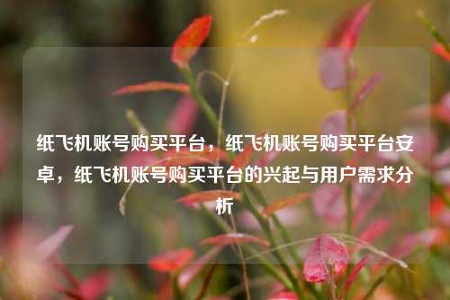 纸飞机账号购买平台，纸飞机账号购买平台安卓，纸飞机账号购买平台的兴起与用户需求分析
