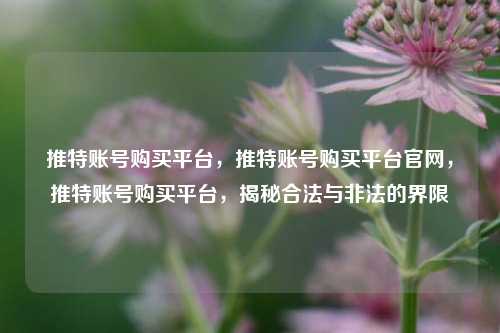 推特账号购买平台，推特账号购买平台官网，推特账号购买平台，揭秘合法与非法的界限