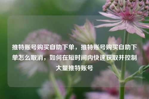 推特账号购买自助下单，推特账号购买自助下单怎么取消，如何在短时间内快速获取并控制大量推特账号