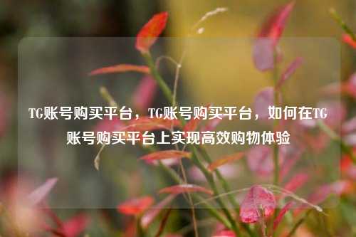 TG账号购买平台，TG账号购买平台，如何在TG账号购买平台上实现高效购物体验