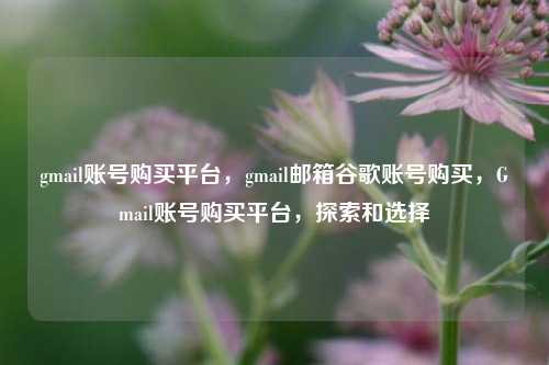 gmail账号购买平台，gmail邮箱谷歌账号购买，Gmail账号购买平台，探索和选择
