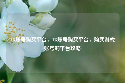 TG账号购买平台，TG账号购买平台，购买游戏账号的平台攻略