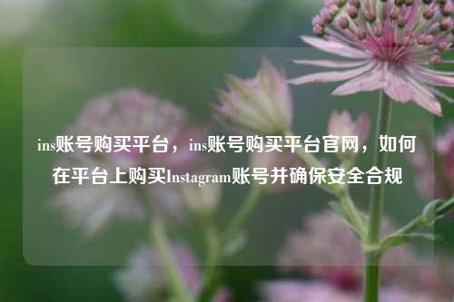 ins账号购买平台，ins账号购买平台官网，如何在平台上购买Instagram账号并确保安全合规