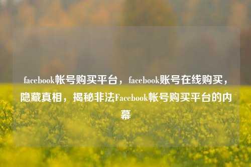 facebook帐号购买平台，facebook账号在线购买，隐藏真相，揭秘非法Facebook帐号购买平台的内幕