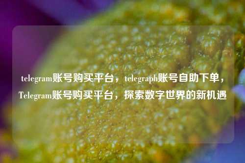 telegram账号购买平台，telegraph账号自助下单，Telegram账号购买平台，探索数字世界的新机遇