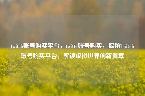 twitch账号购买平台，twitte账号购买，揭秘Twitch账号购买平台，解锁虚拟世界的新篇章