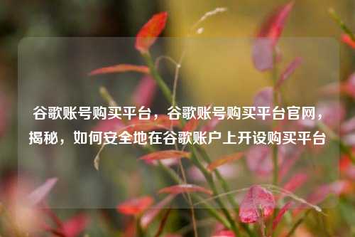 谷歌账号购买平台，谷歌账号购买平台官网，揭秘，如何安全地在谷歌账户上开设购买平台