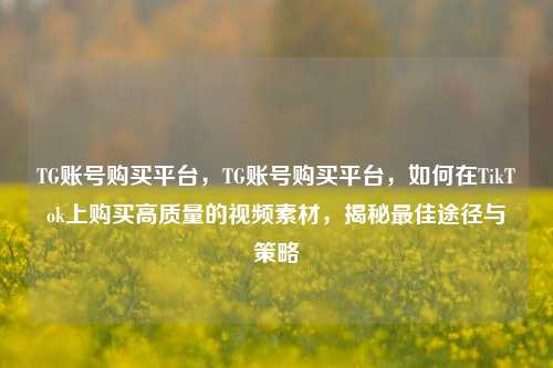 TG账号购买平台，TG账号购买平台，如何在TikTok上购买高质量的视频素材	，揭秘最佳途径与策略  第1张