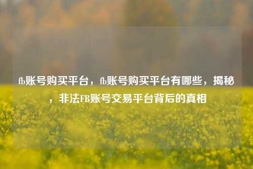 fb账号购买平台，fb账号购买平台有哪些，揭秘，非法FB账号交易平台背后的真相