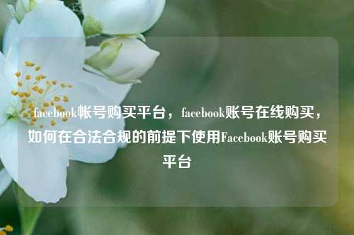 facebook帐号购买平台，facebook账号在线购买，如何在合法合规的前提下使用Facebook账号购买平台