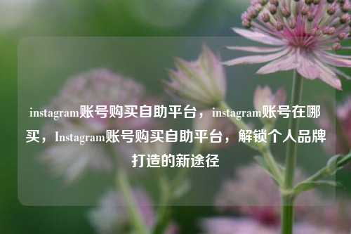 instagram账号购买自助平台，instagram账号在哪买	，Instagram账号购买自助平台，解锁个人品牌打造的新途径  第1张