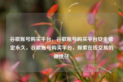 谷歌账号购买平台，谷歌账号购买平台安全稳定永久，谷歌账号购买平台，探索在线交易的新途径