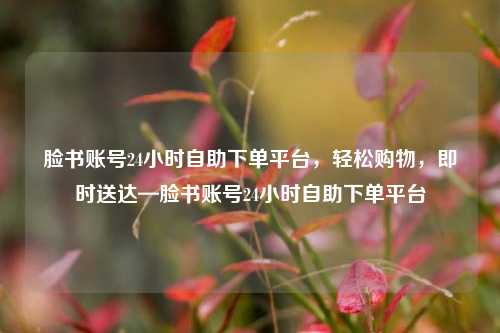 脸书账号24小时自助下单平台，轻松购物，即时送达—脸书账号24小时自助下单平台