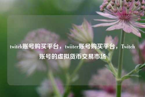 twitch账号购买平台，twiiter账号购买平台，Twitch账号的虚拟货币交易市场