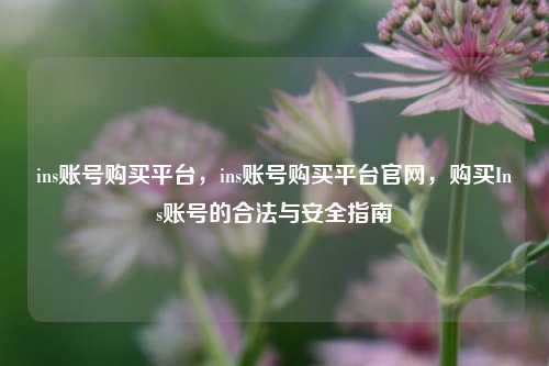 ins账号购买平台，ins账号购买平台官网，购买Ins账号的合法与安全指南