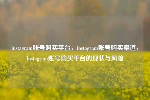 instagram账号购买平台，instagram账号购买渠道，Instagram账号购买平台的现状与风险