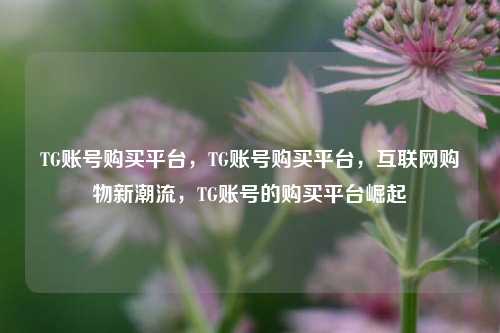 TG账号购买平台，TG账号购买平台，互联网购物新潮流，TG账号的购买平台崛起