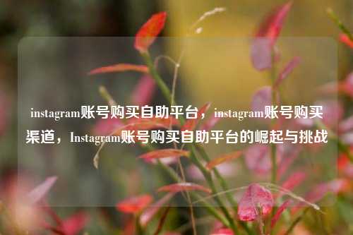 instagram账号购买自助平台，instagram账号购买渠道，Instagram账号购买自助平台的崛起与挑战
