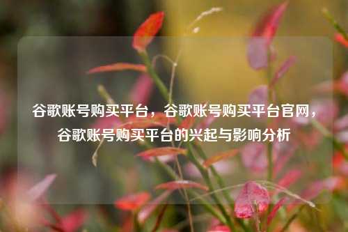 谷歌账号购买平台，谷歌账号购买平台官网，谷歌账号购买平台的兴起与影响分析