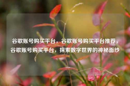 谷歌账号购买平台，谷歌账号购买平台推荐，谷歌账号购买平台，探索数字世界的神秘面纱